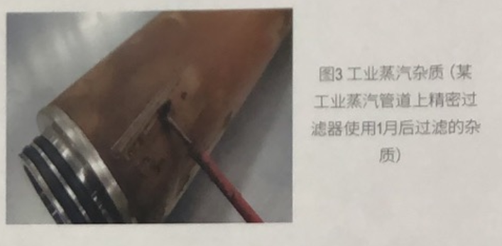 蒸汽潔凈度對油脂加工工藝的影響.png
